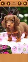 Cute Puppy Jigsaw Puzzle Games Image