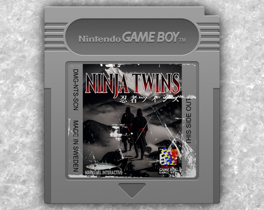 Ninja Twins Game Cover