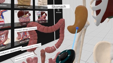 Everyday Anatomy VR Image