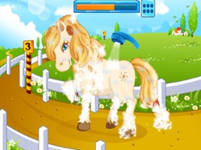 Pony care - animal games Image