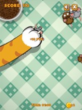 Tap The Rat - Kitty Quick Tap Mouse! and Fun Game Image