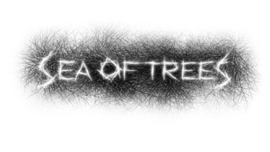 Sea of Trees Image