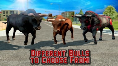 Angry Bull Revenge 3D Image