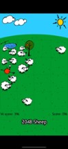 2048 Sheep Image