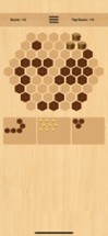 Wooden Hexa Puzzle Image