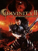 Divinity II: The Dragon Knight Saga Image