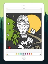 Cute Owl Coloring Drawing Pages for Kid Image