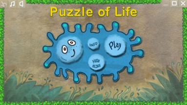 Puzzle Of Life Image