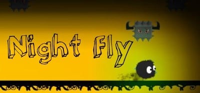 Night Fly Image