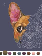 PolyGO - LowPoly Coloring Book Image