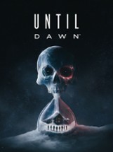 Until Dawn™ Image