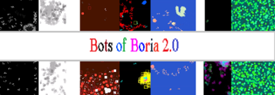 Bots of Boria Image