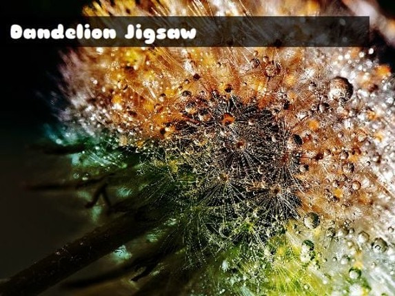 Dandelion Jigsaw Game Cover