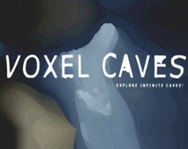 Voxel caves Image