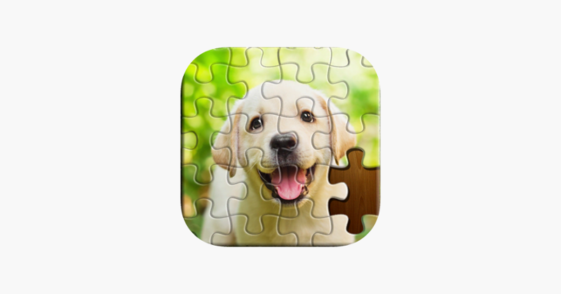 Jigsaw Puzzles Master Game Cover