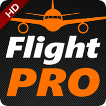 Pro Flight Simulator Dubai Premium Image