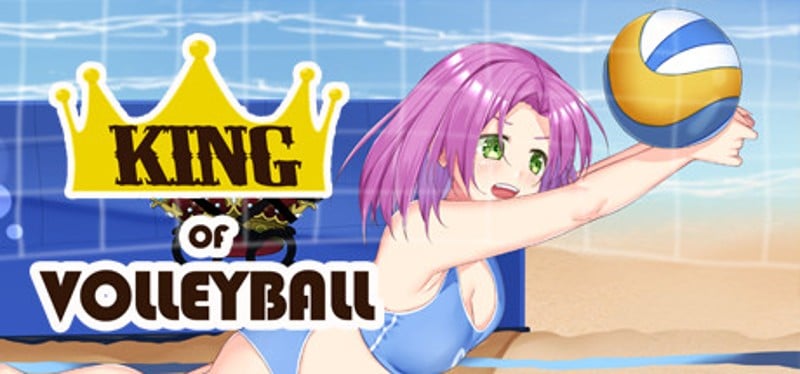 King of Volleyball Game Cover