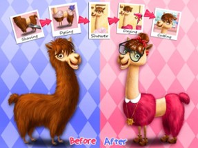 Animal Hair Salon - Kids Game Image