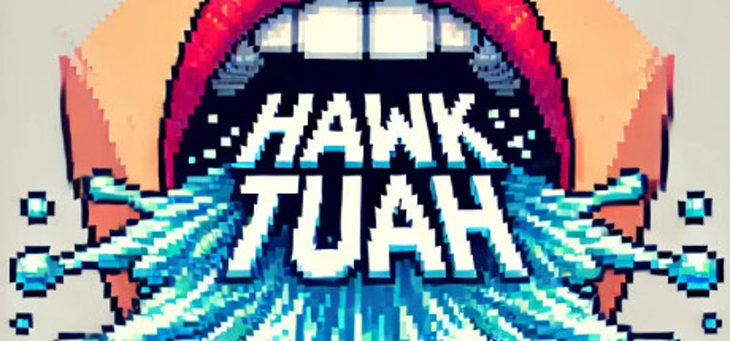 Hawk Tuah Game Cover