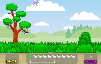 Duck Hunt Image