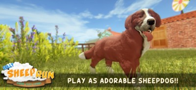 Silly Sheep Run- Farm Dog Game Image