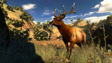 Cabela's Hunting Expeditions Image
