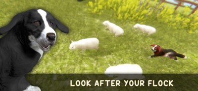 Silly Sheep Run- Farm Dog Game Image