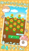 AfroHamsterPlus ◆ The free Hamster collection game has evolved! Image