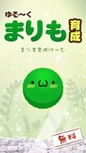 Marimo Game Free Image