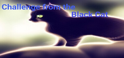 Challenge from the Black Cat Image