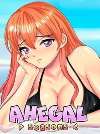 Ahegal Seasons Game Cover