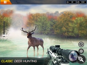 Deer Hunter | African Safari Image