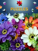 Flowers Jigsaw Puzzles 2017 Image