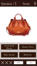 Name The Designer - Handbags FREE Image