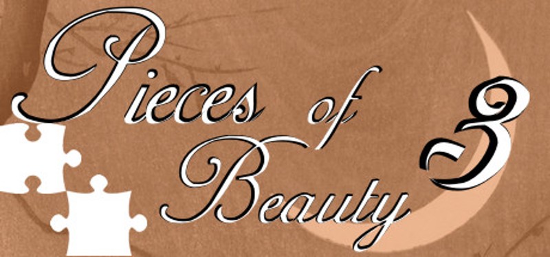 Pieces of Beauty 3 Game Cover