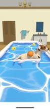 Dog Care 3D Image