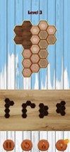 Hexa Wooden Block Puzzle! Image