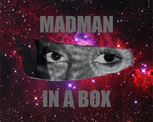 Madman In A Box Game Cover