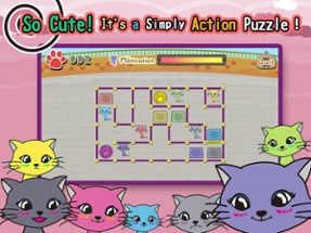 Cats mazes Image