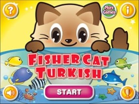 Fisher Cat Turkish Image