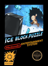 Ice Block Puzzle Image