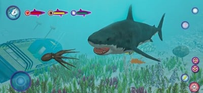 Megalodon Shark Fish Attack Image