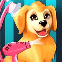 Become a Puppy Groomer Image
