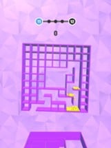 Balls in Maze Image