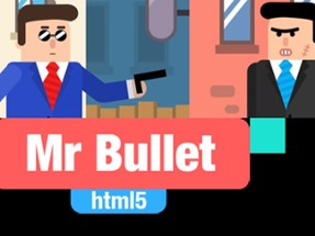 Mr Bullet 1 Image