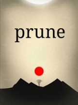 Prune Image