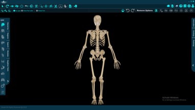 Vesalii Anatomy 3D Student Image