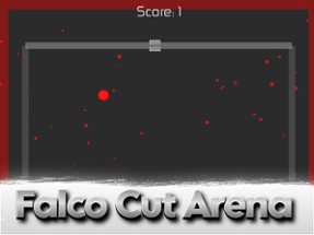 Falco Cut Arena Image