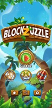 Block Puzzle Z Image