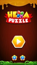 Hexa Puzzle Plus 2 Image